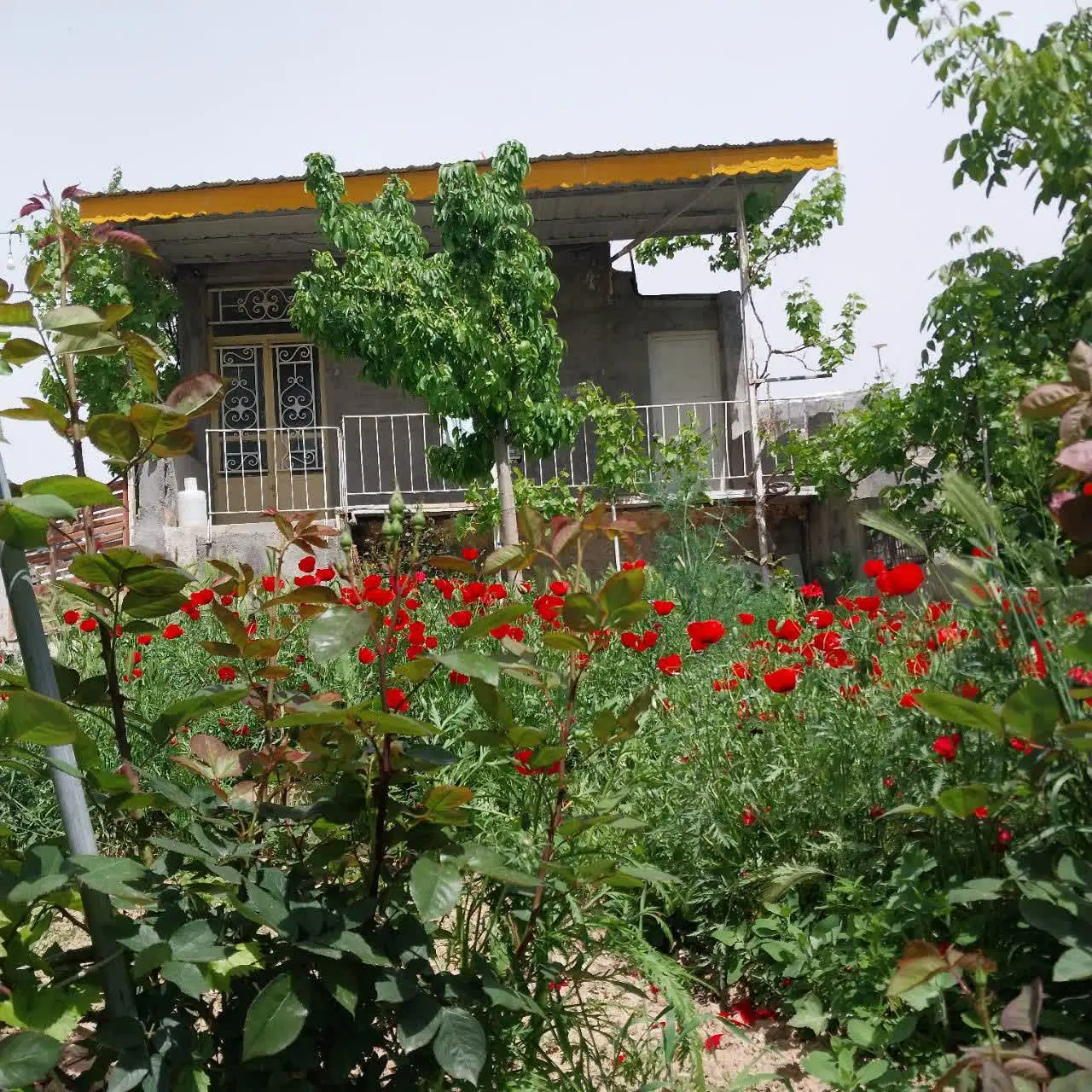 اجاره ویلایی