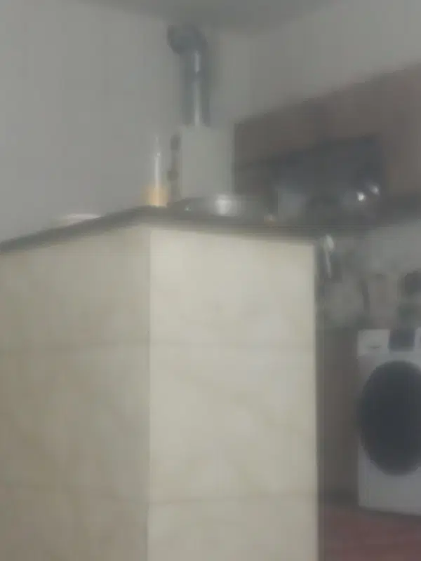 همخانه