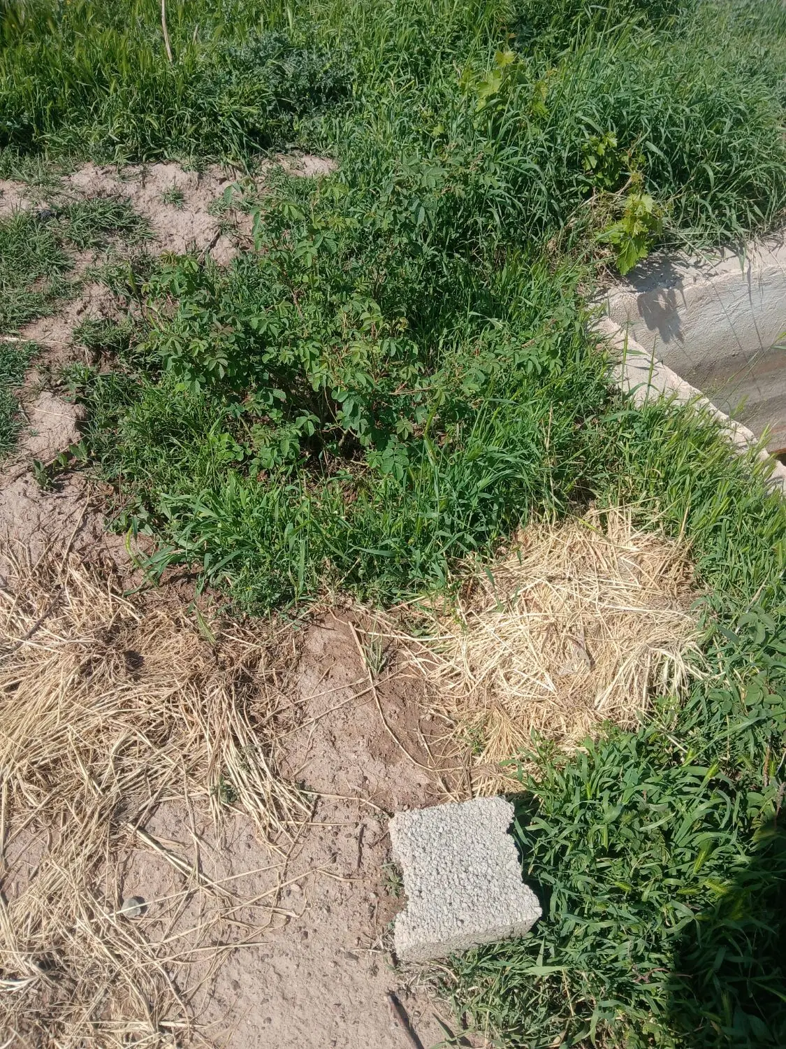 باغچه بفروش می‌رسد شهریار  تخت رستم روستای قجر
