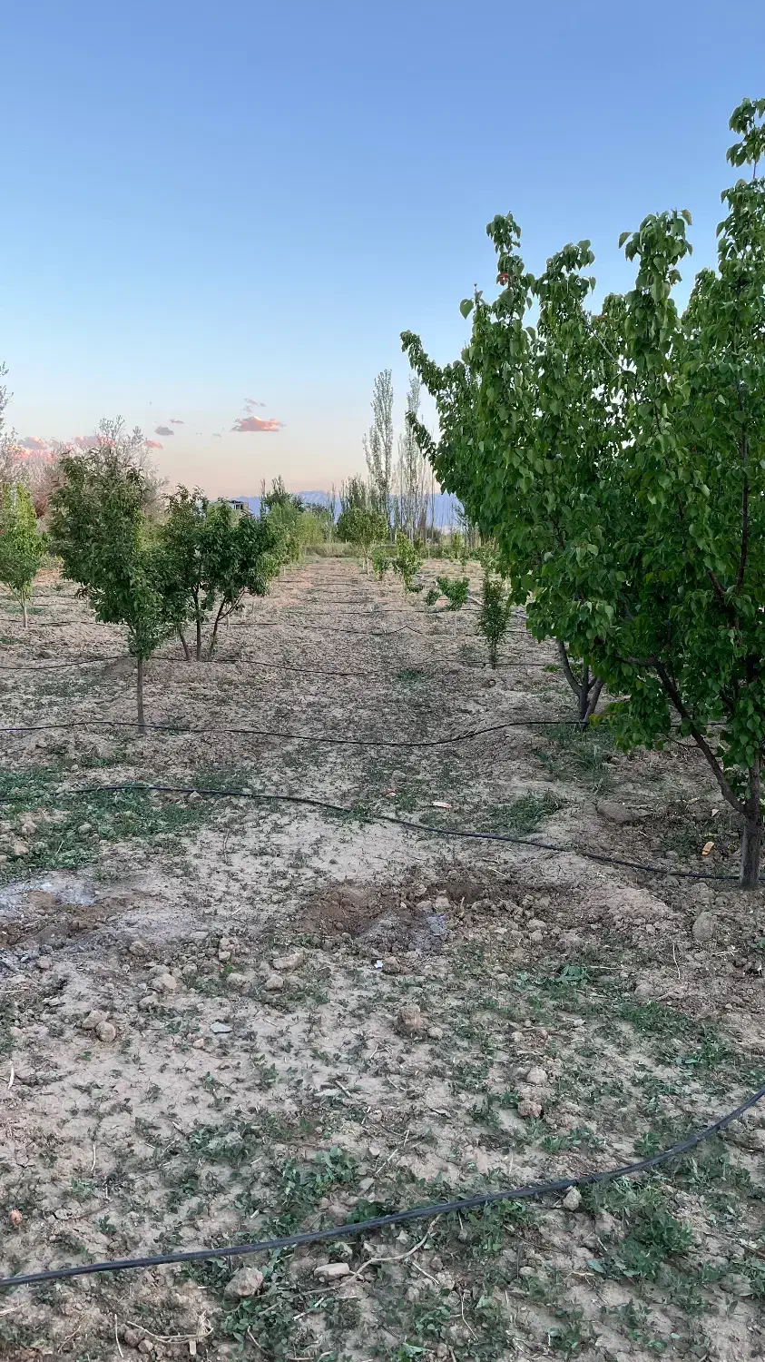 باغ با ساختمان