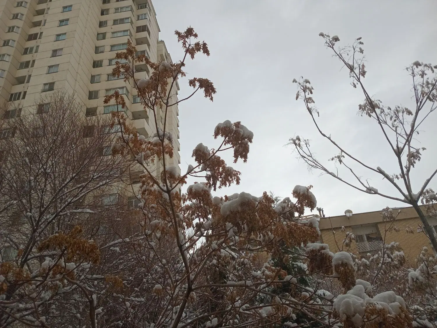 ۹۵متر چهارراه سرو سعادت آباد