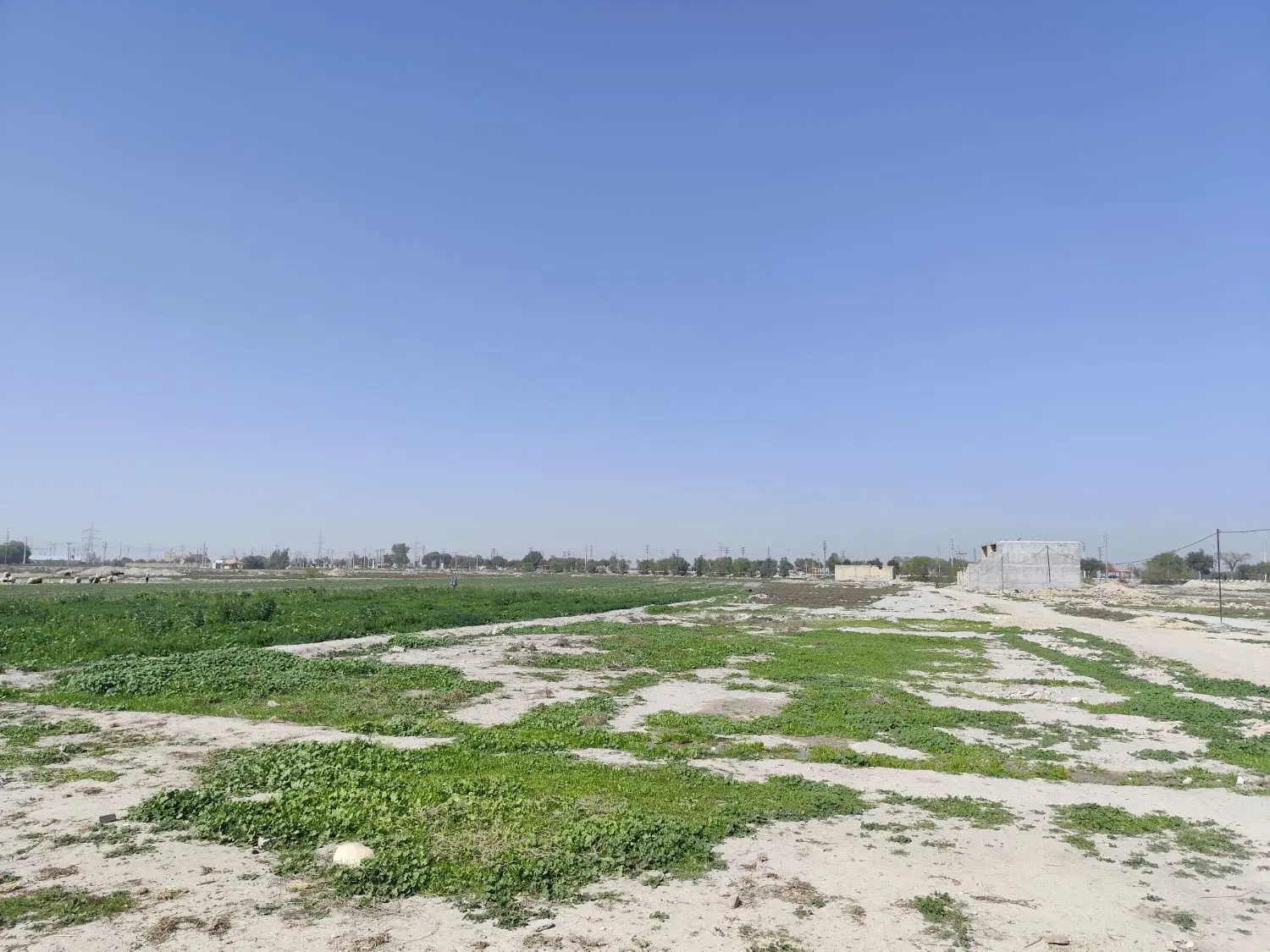 زمین مسکونی بنه کریم