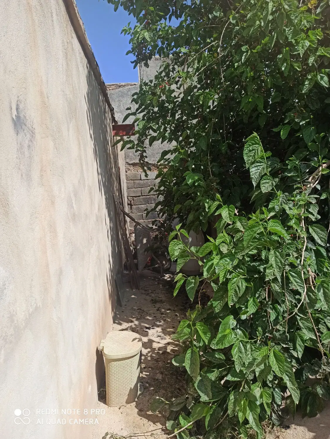 فروش منزل مسکونی واقع در روستای پل ماهیت