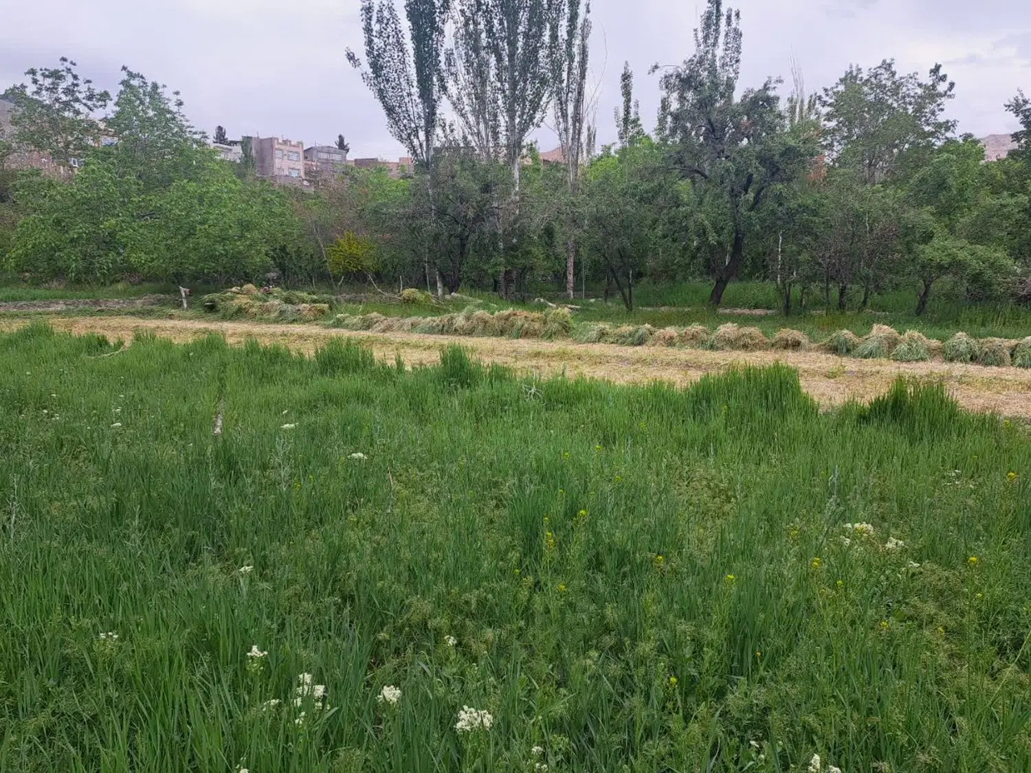 زمین  فروشی