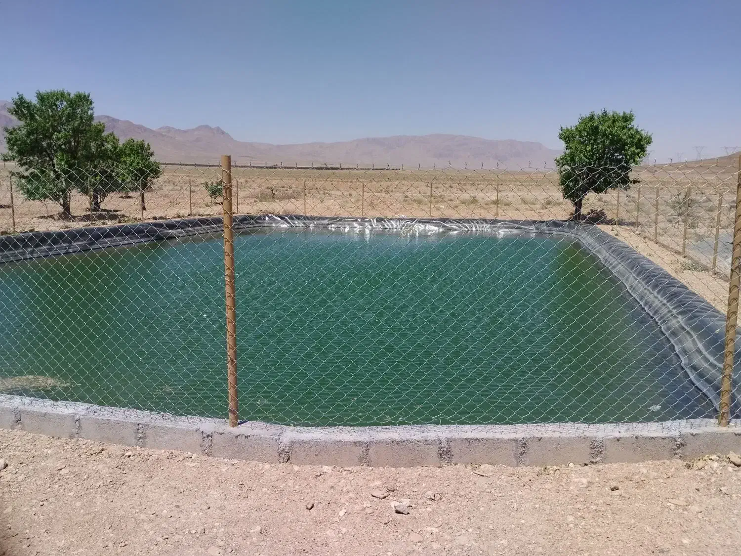 یک ساعت آب قنات همراه استخر و باغ بادام و انگور