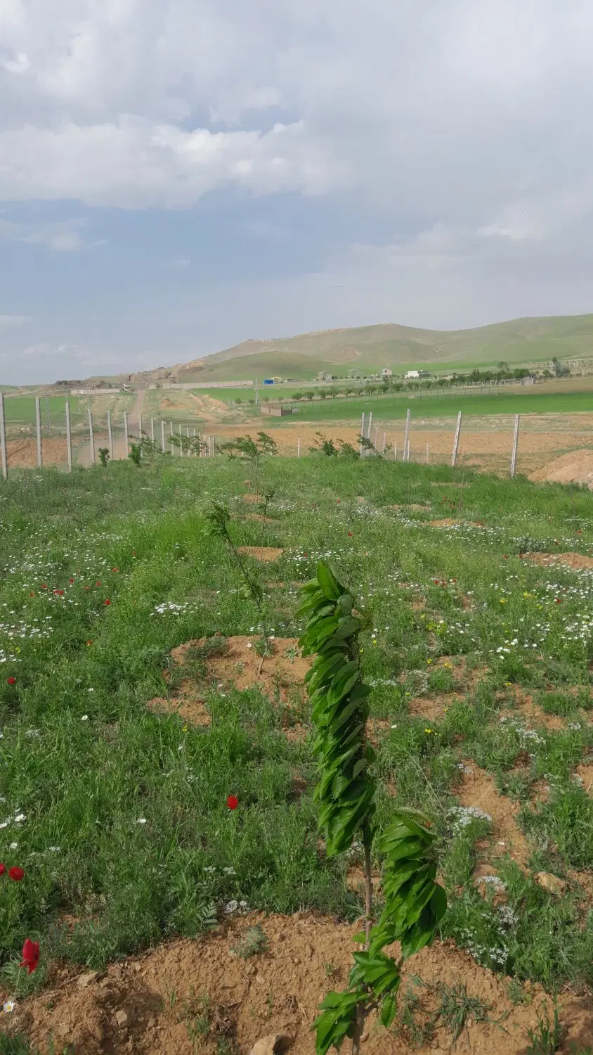 فروش باغ در تبت  ۱۶۰۰ متر