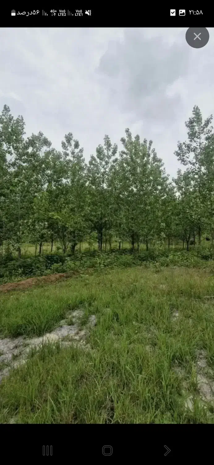 باغ گزگزاره کانی چرمو
