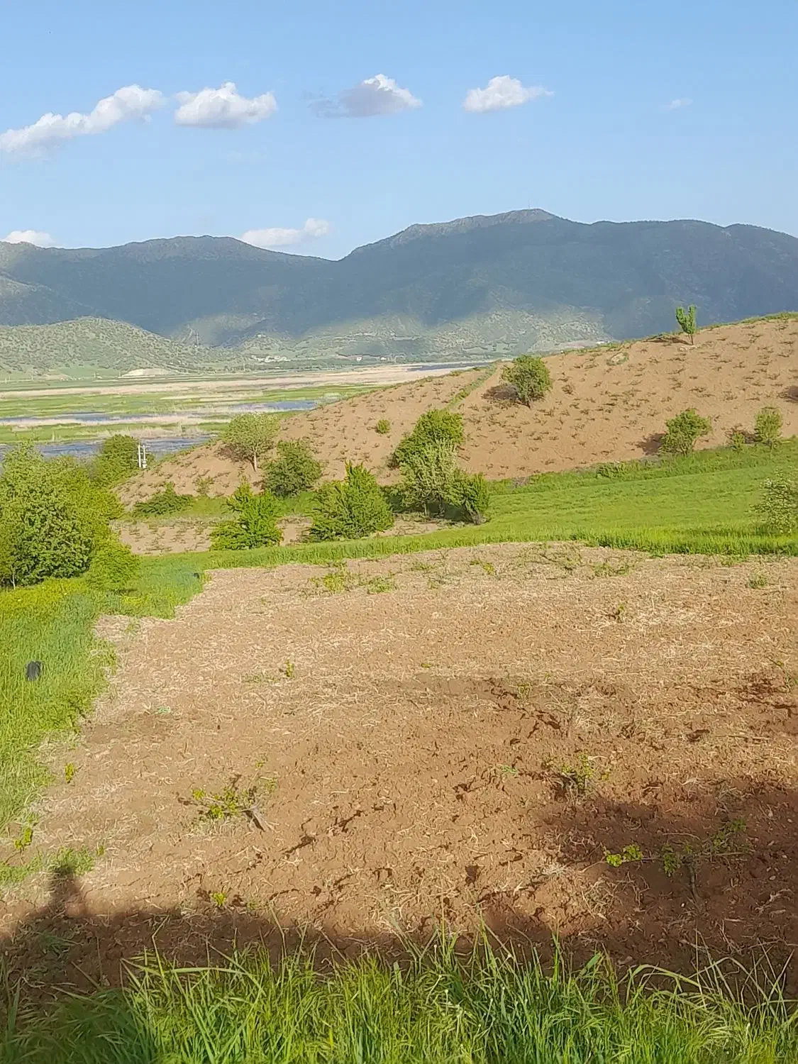 زمین فروشی برای خانه باغ