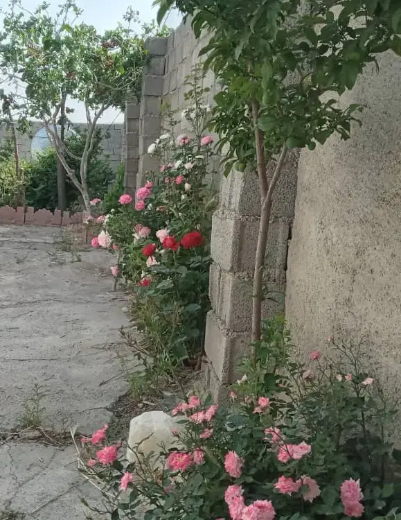 زمین ۱۵۰۰ متری + ملک