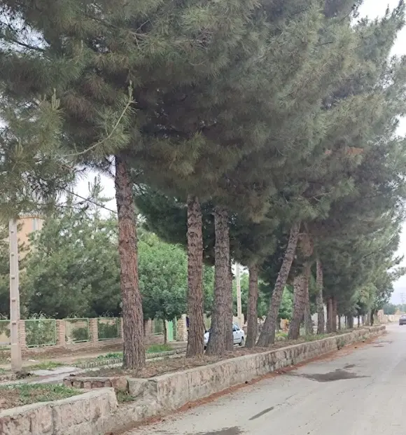 زمین 380  متر  در محسن آباد