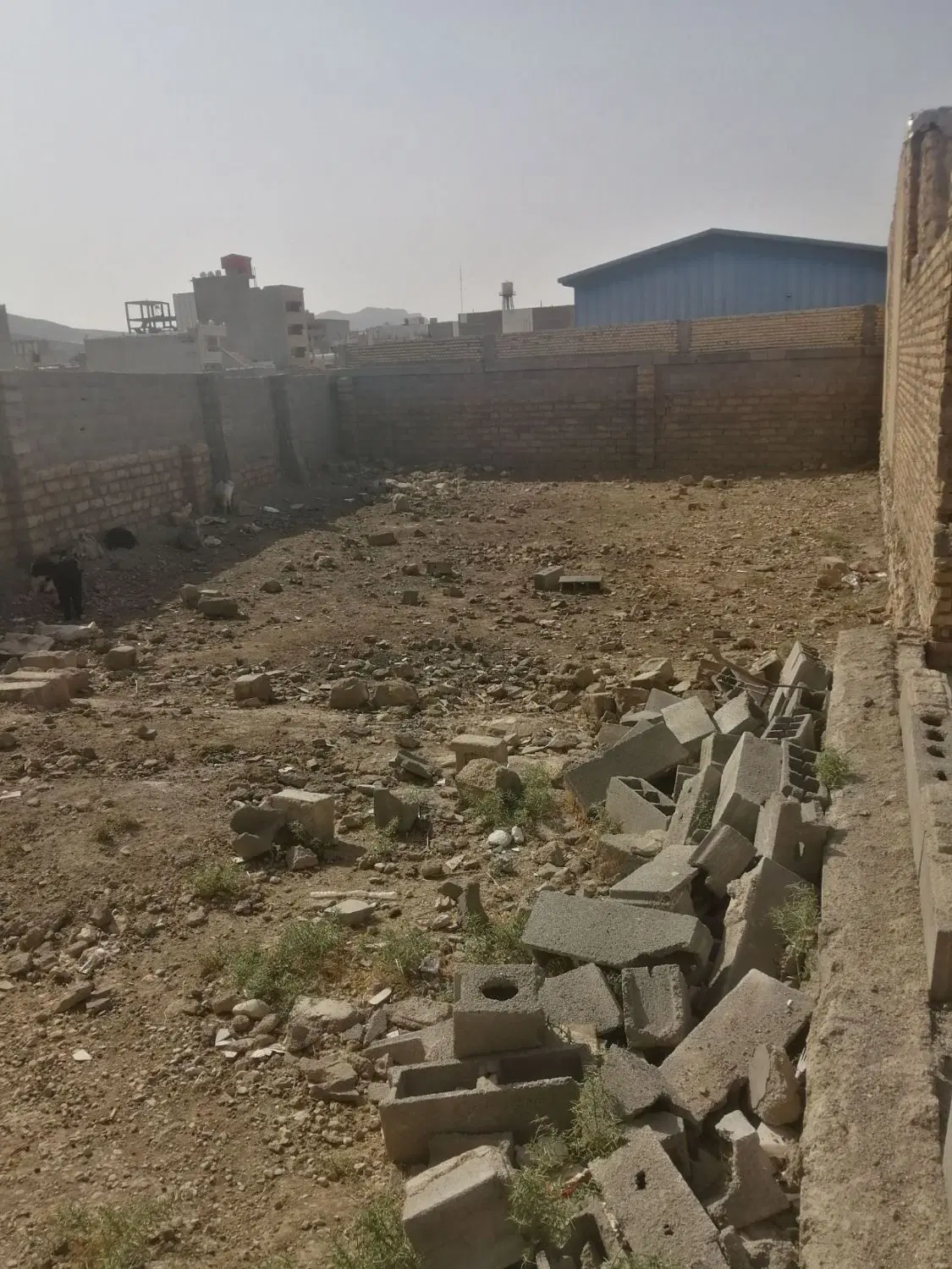 زمین برای فروش