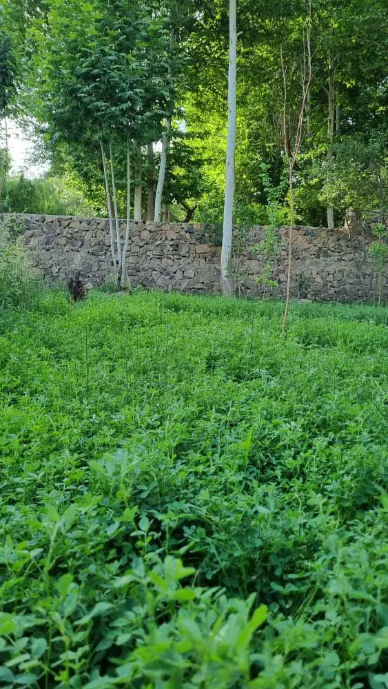 ویلایی جاده تهران سعادت اباد