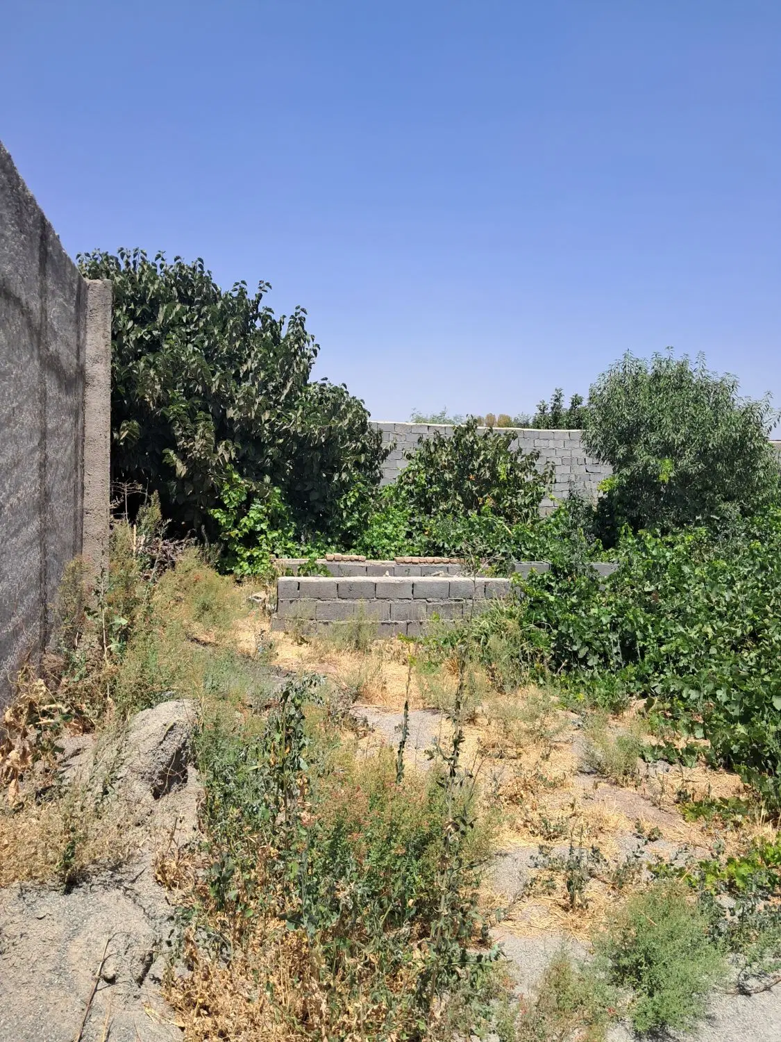 باغچه در شهریار