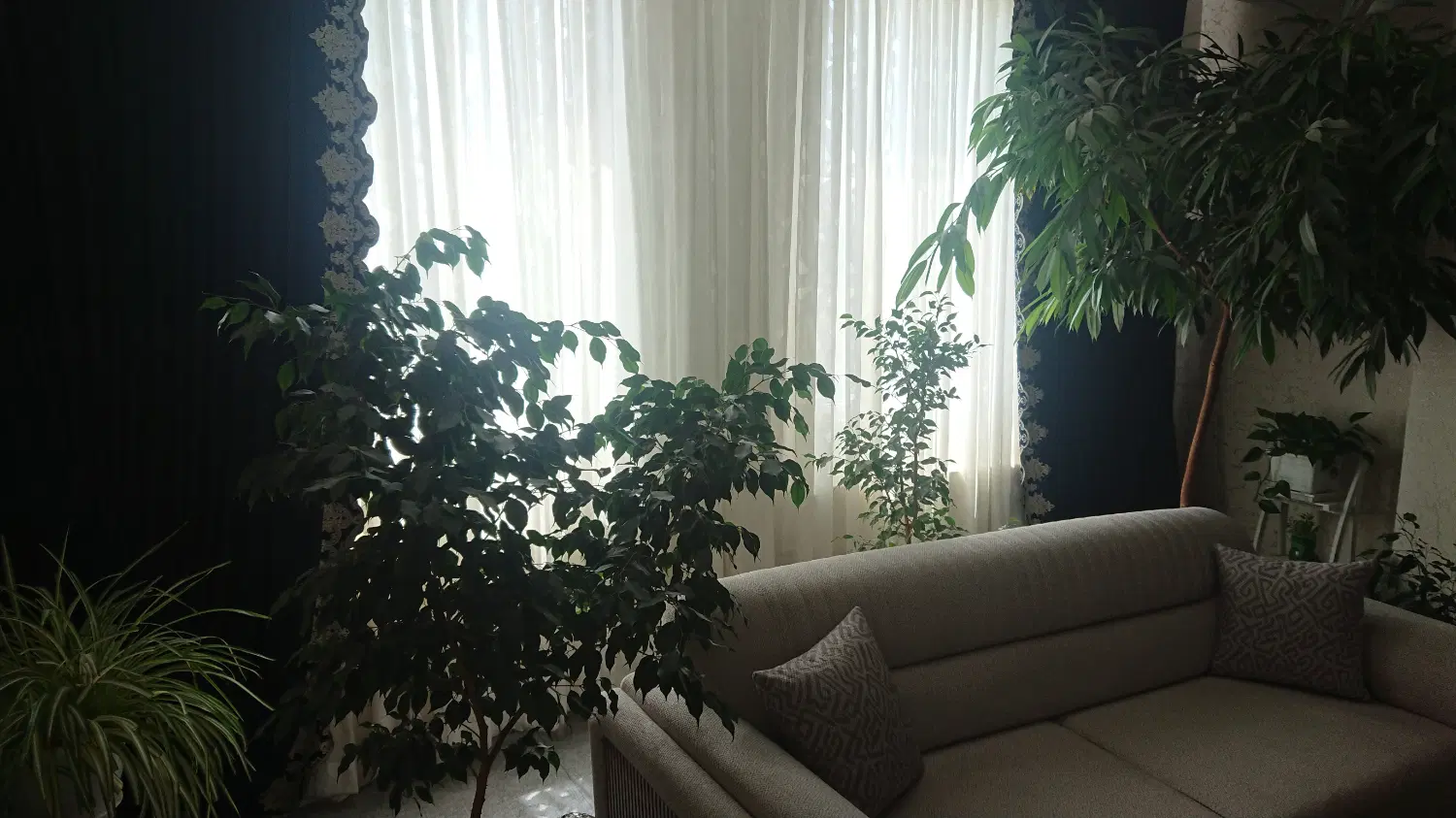 رهن و اجاره