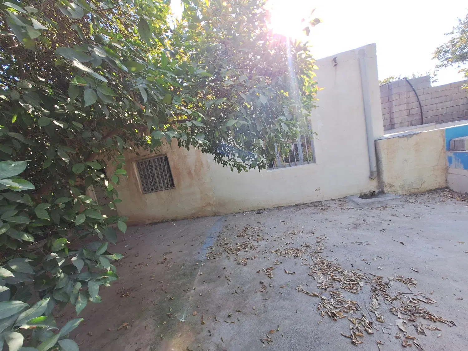 باغچه بن جعفر