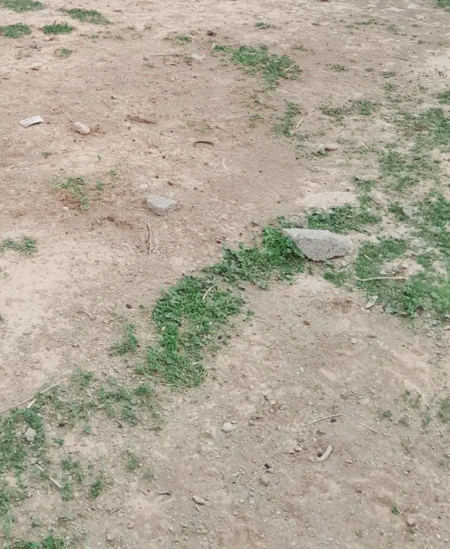 زمین مسکونی ۲۰۰متر