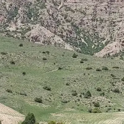 یک‌امتیاز از زمین‌های پتروشیمی