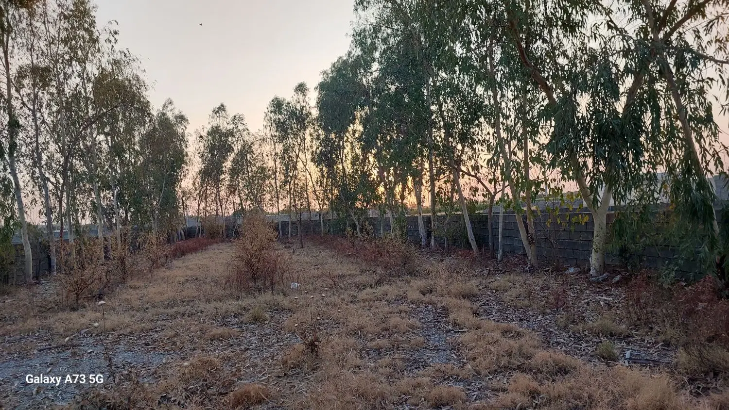 باغچه ۱۰۰۰ متری