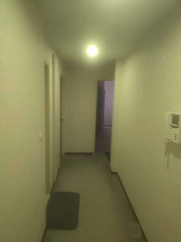 همخانه همخونه لازم است  خانه موجود است