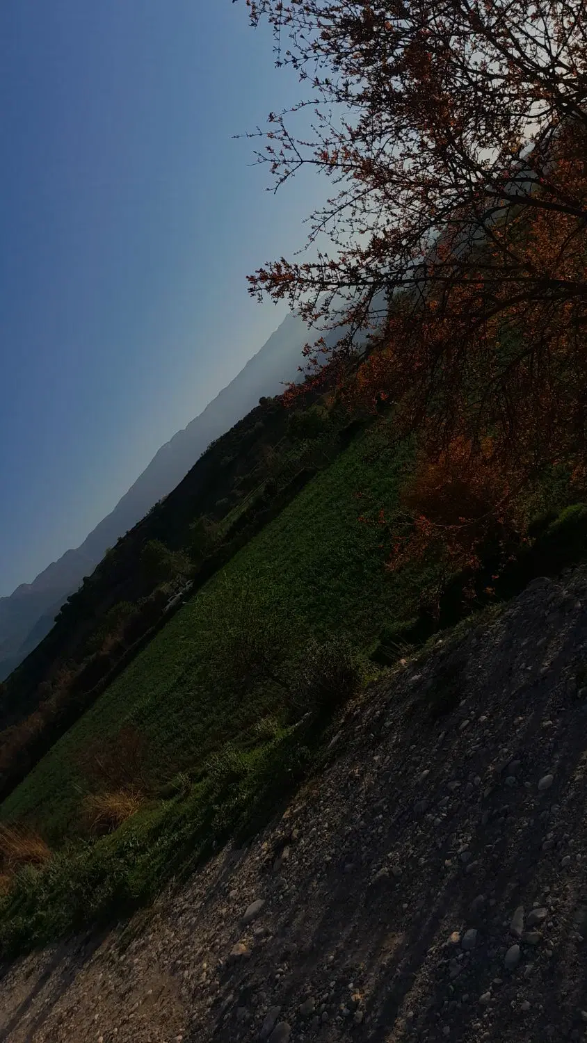 فروش زمین گلشهر ۲۶ زعفرانه