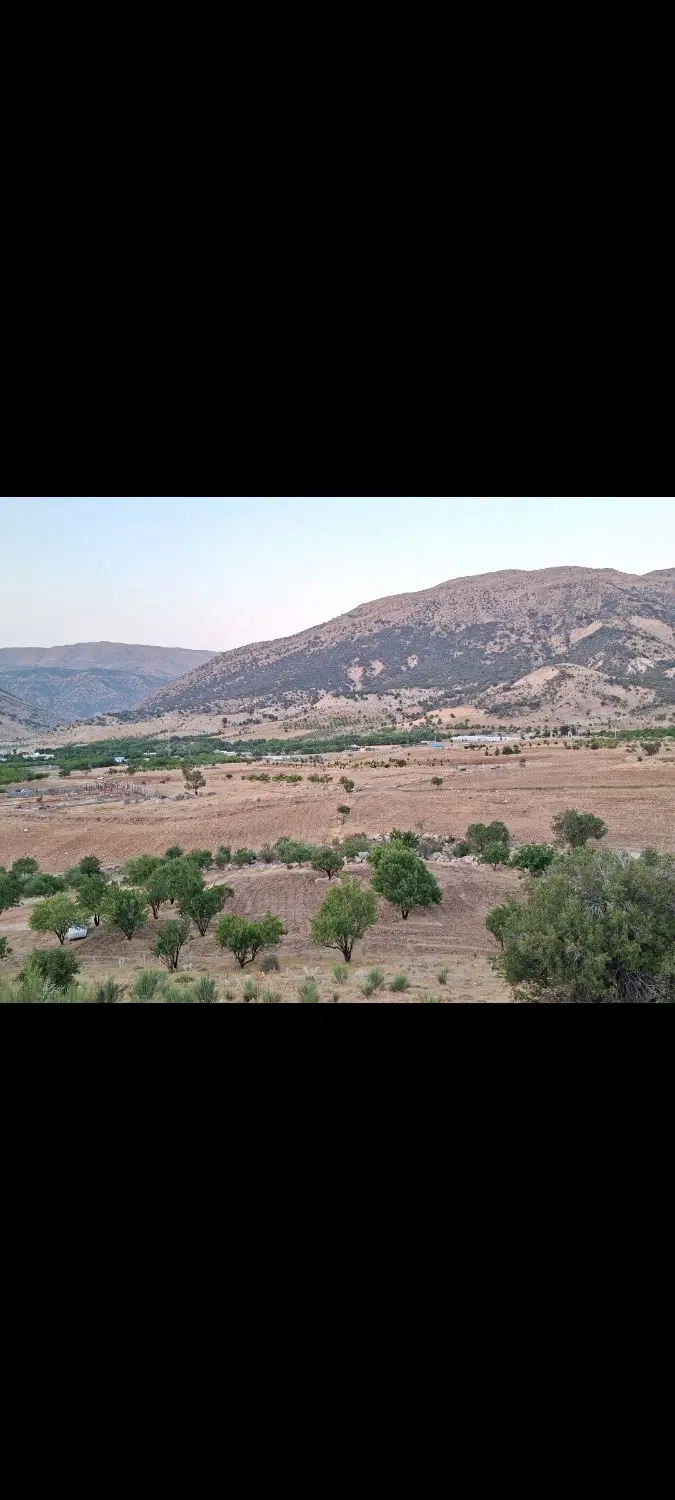 زمین یاسوج وزگ