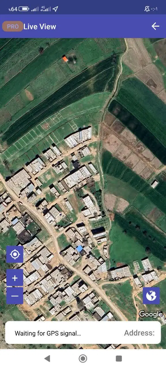 زمین در پاپی خالدار سفلی
