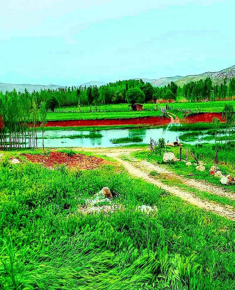 فروش زمین ویلای