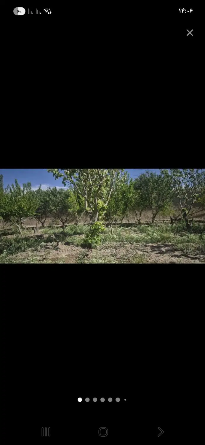 باغ ویلا