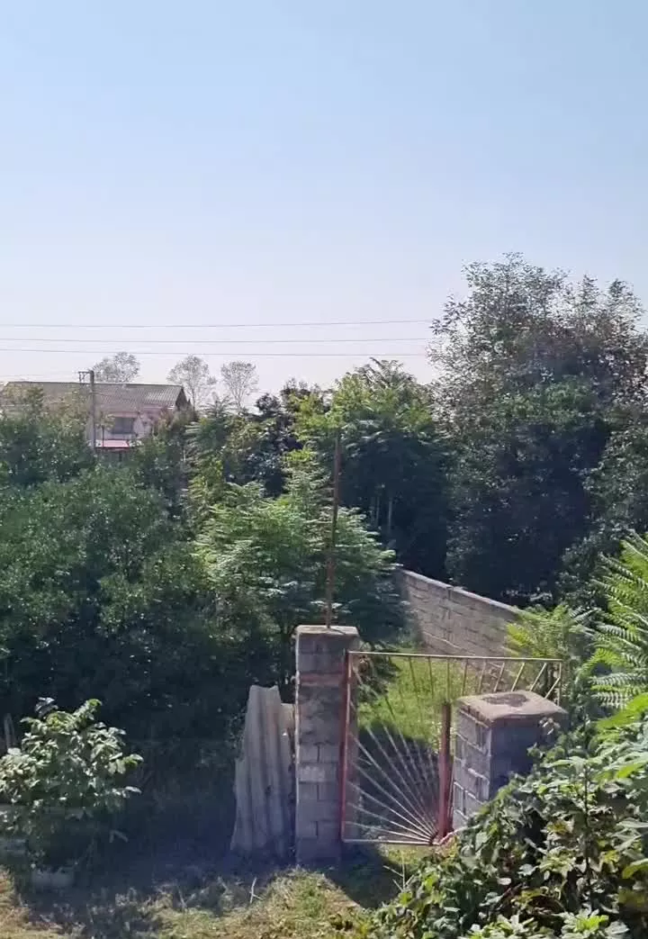 فروش ۸۰۰ متر زمین سند مسکونی و باغی