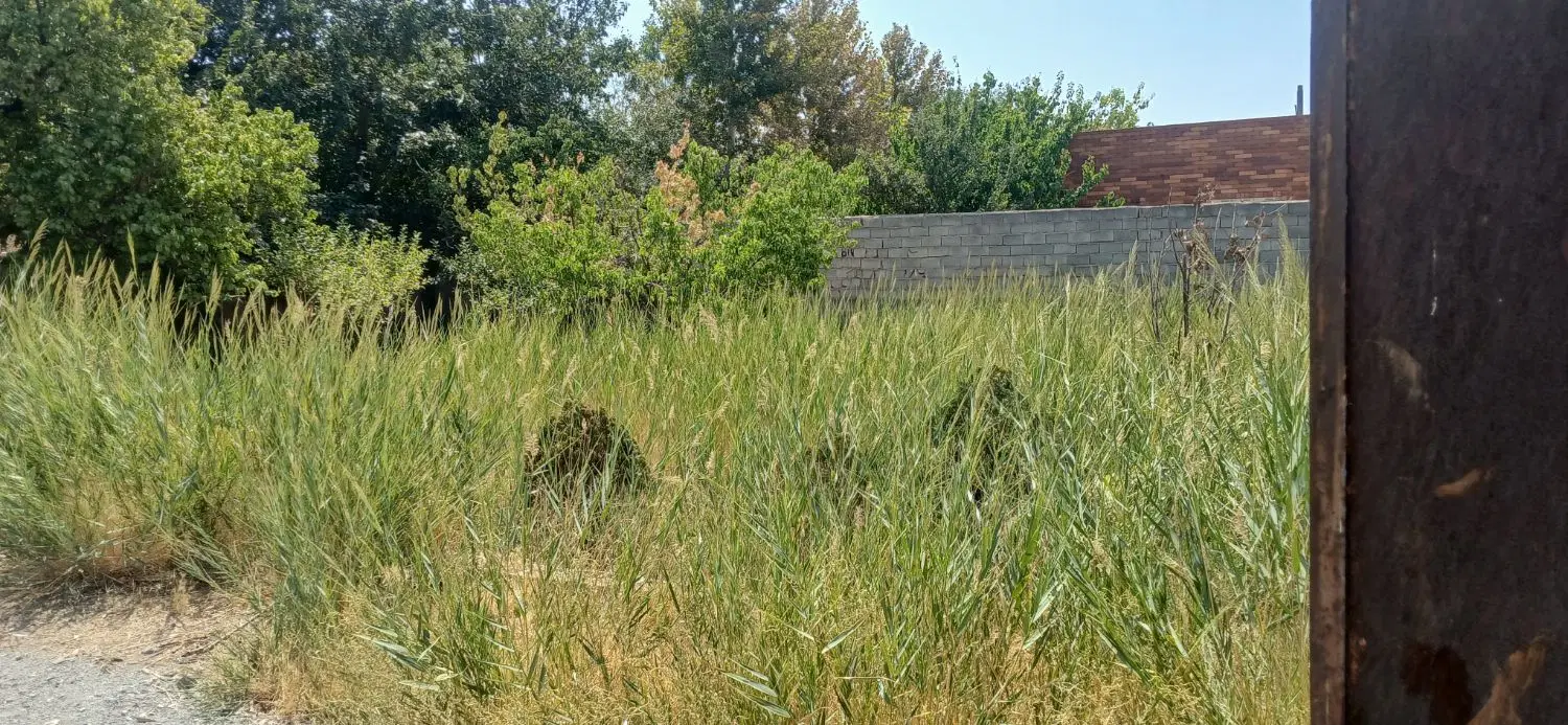زمین ۳۰۰ متری