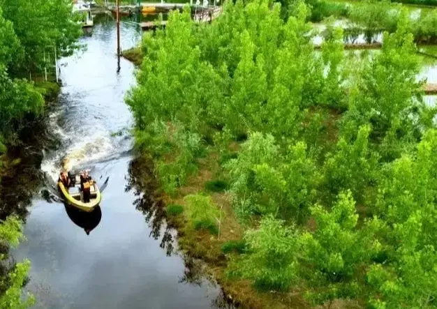 هوشمندانه سرمایه‌گذاری کن