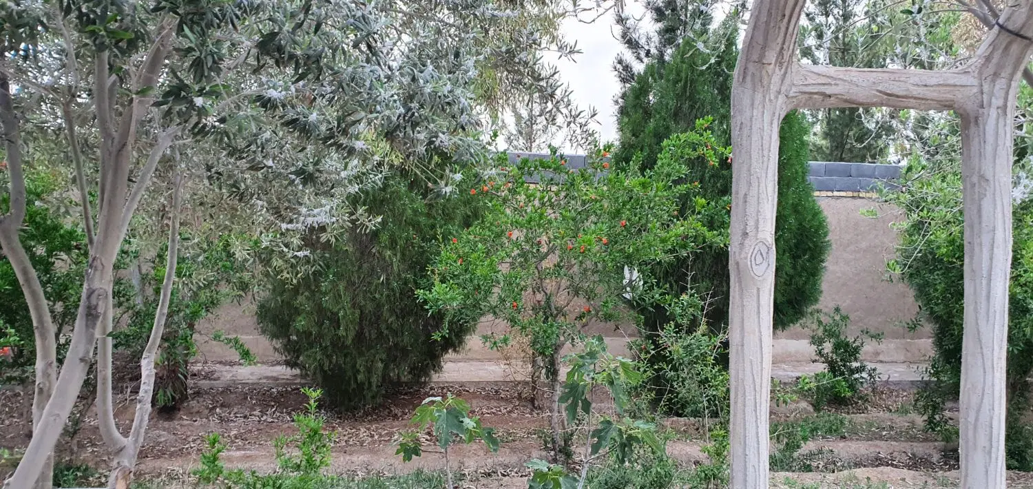 2500 متر چهاردیواری باغی