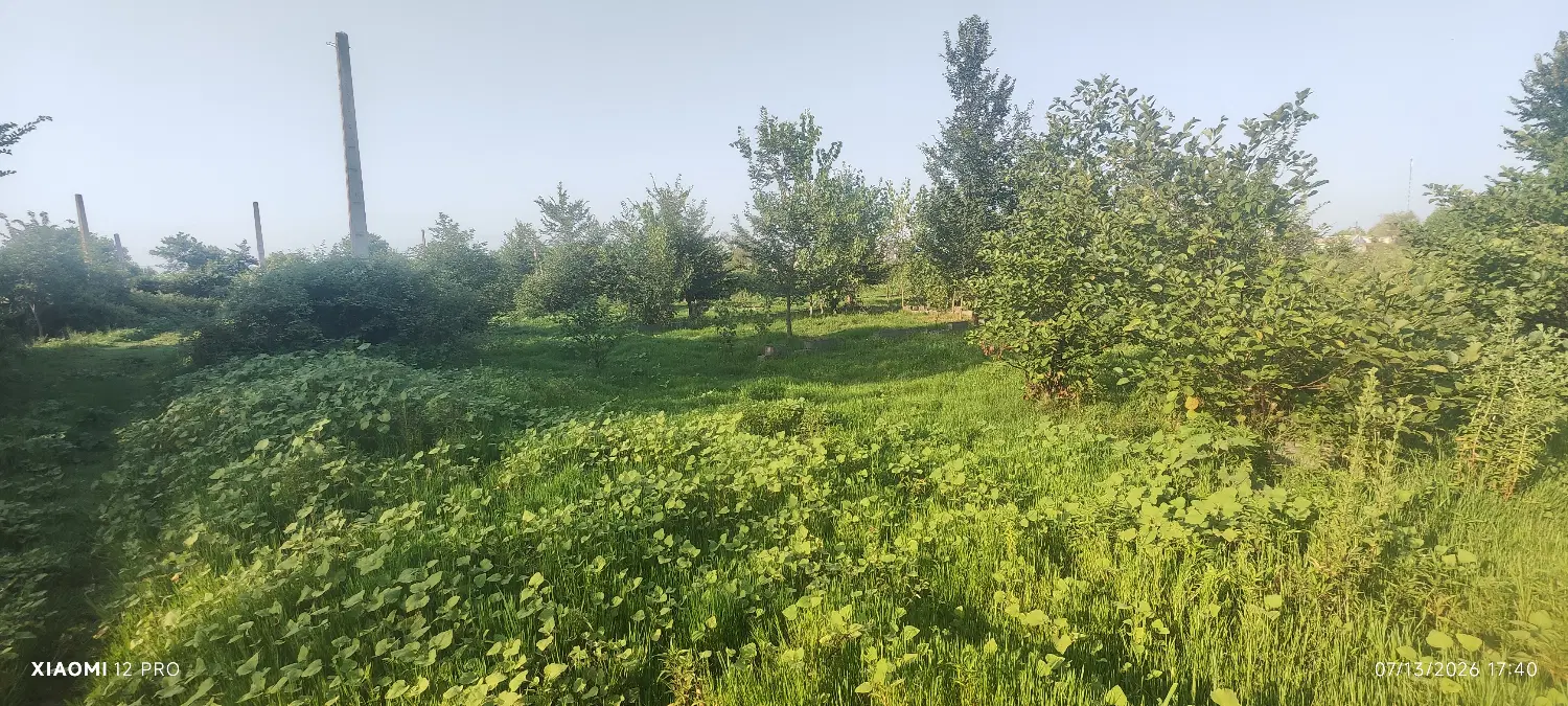 زمین 200متری  فاصله باخیابان اصلی کمتر از ۵۰ متر