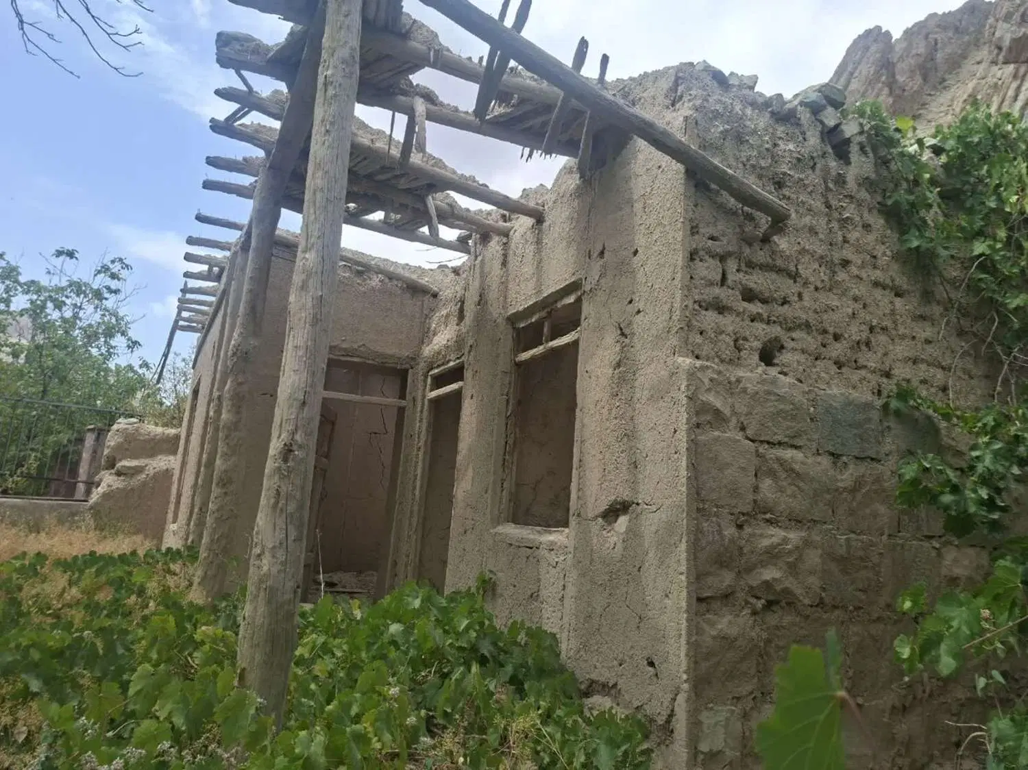 چهار هزار متر باغ با بنای قدیمی سند تک برگ