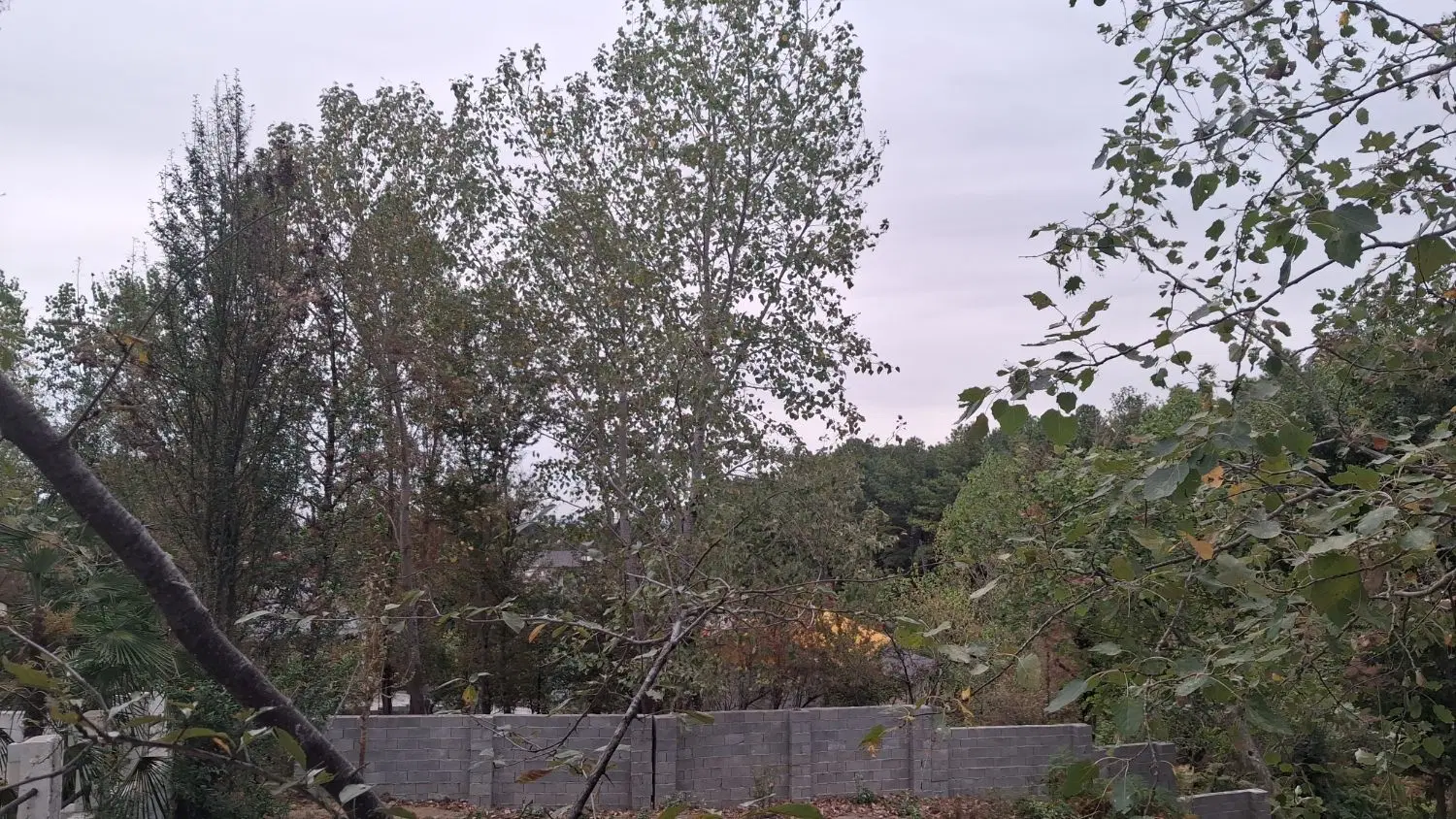 زمین مسکونی(کلنگی )کوهپایه ای