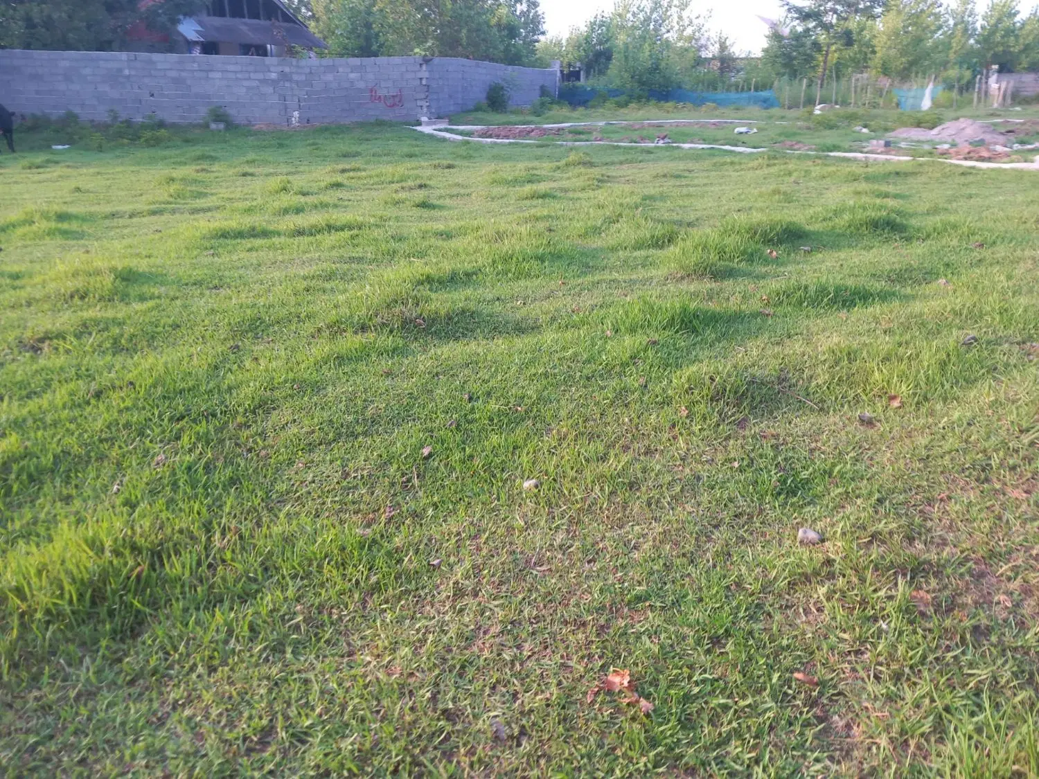 ۲۱۸مترزمین باغی مسکونی