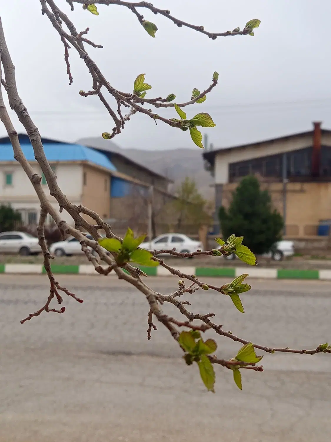 تعدادی زمین عالی و خوش قیمت برای فروش