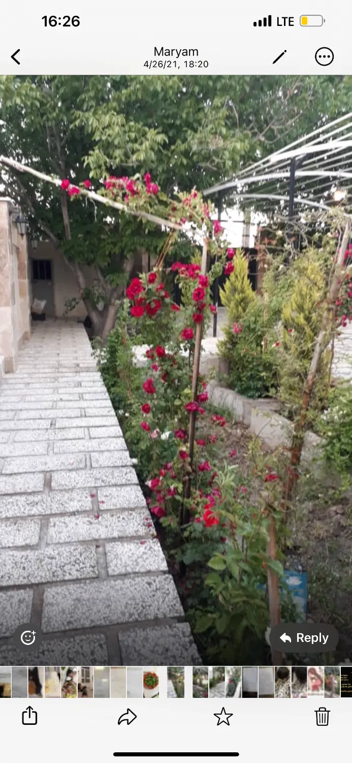 باغ ویلا