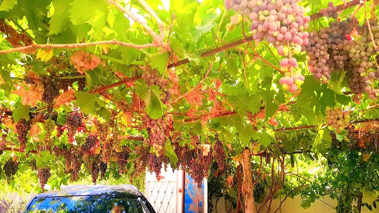 خانه ویلایی دوطبقه