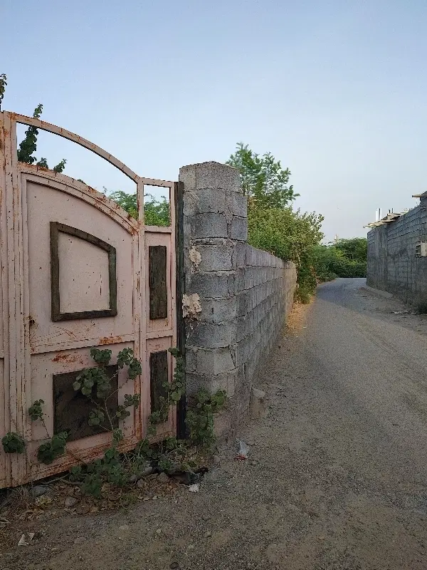 زمین در شهر میناب