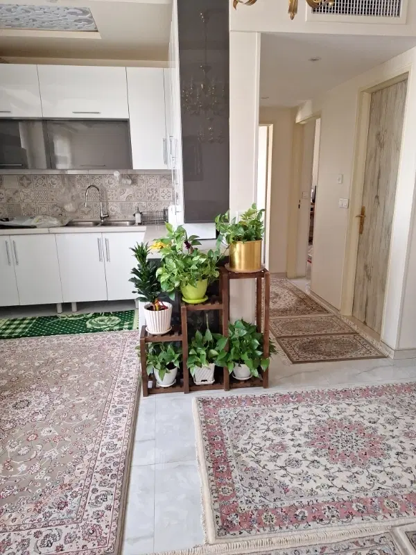 همخونه خانم میپذیرم_ خونه دارم