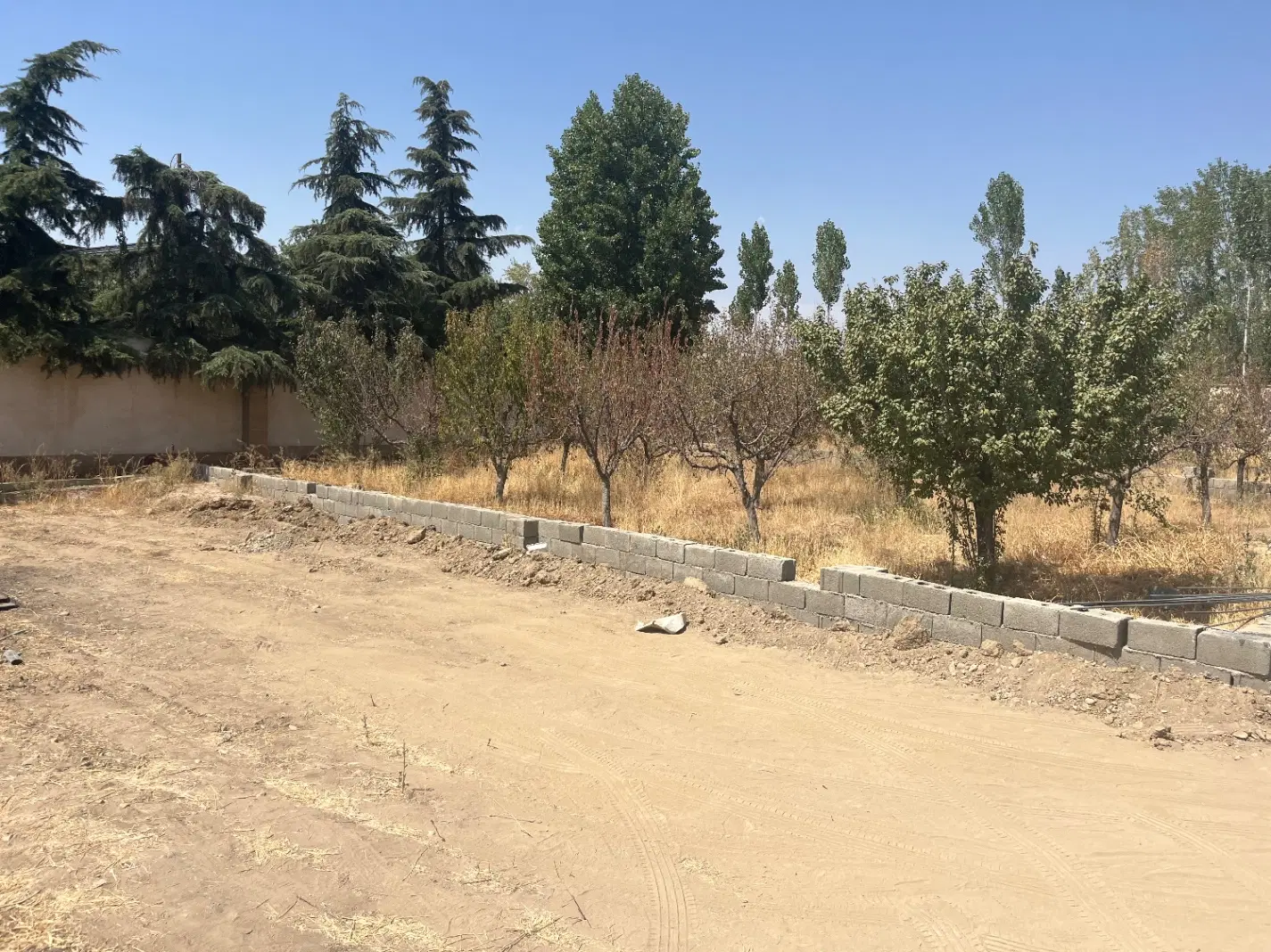 باغچه بهترین لوکیشن دهکده ورزشی