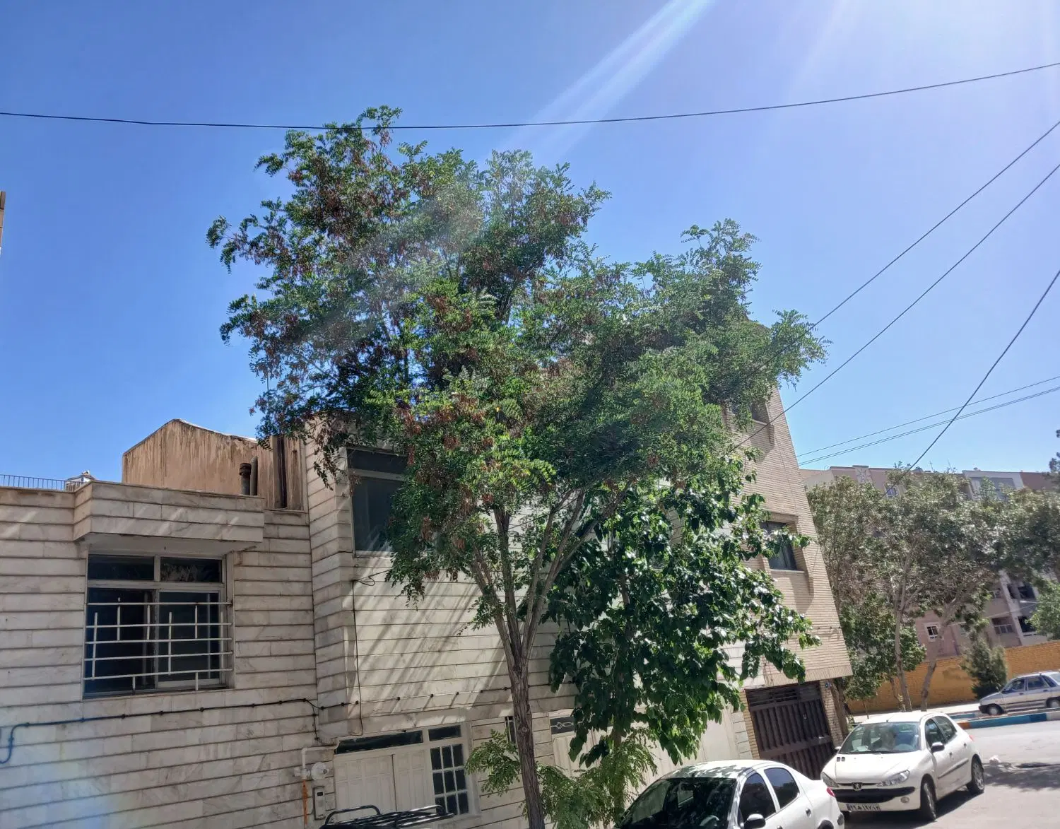 فروش یا مشارکت در ساخت کلنگی ملک شهر ۱۷شهریور