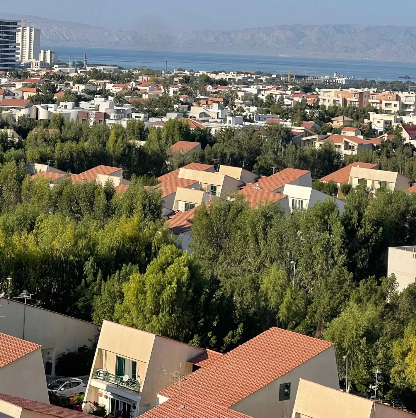 دامون گیت