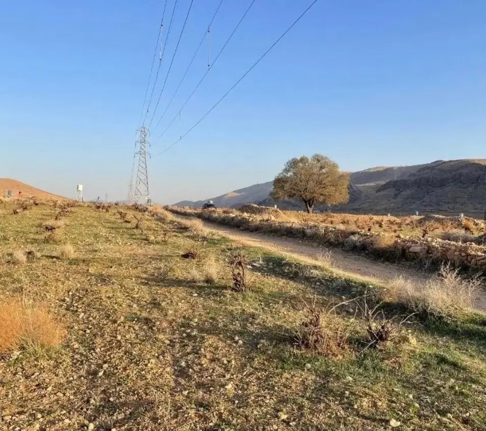 زمین ذخیره شهرک لاله