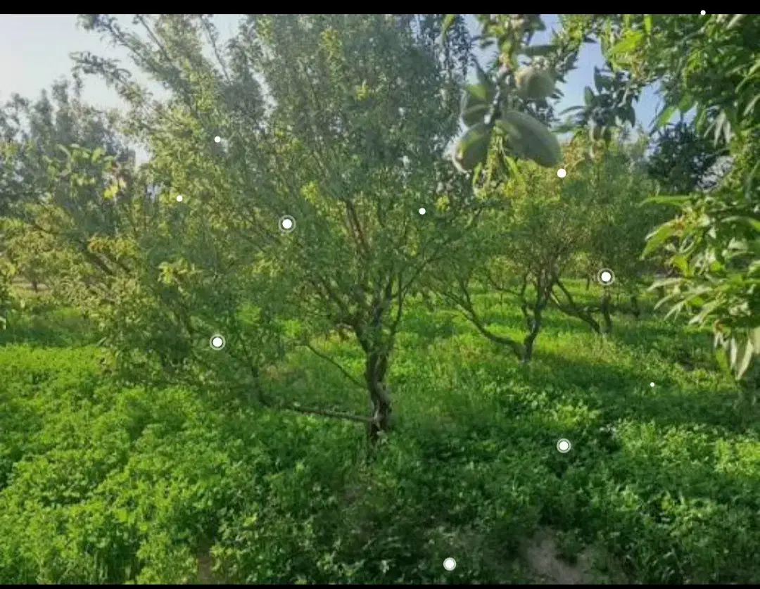 ۲۰۰۰متر باغچه با فاصله ۱۰۰متری از جاده اصلی