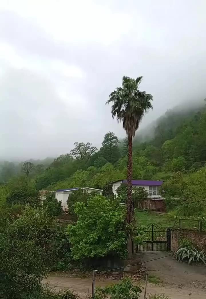 ۱۰هزار متر _ لوکیشن رویایی _ رامسر