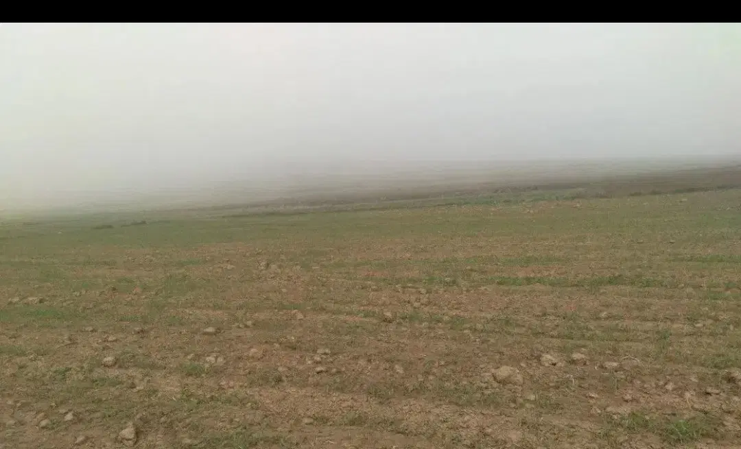 زمین کشاورزی