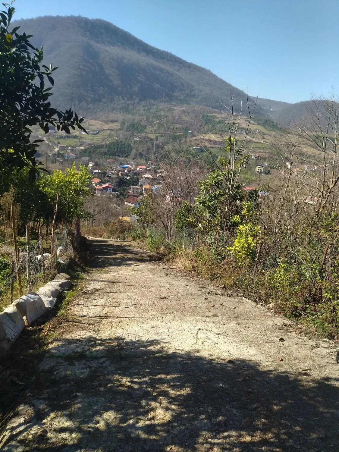زمین باغی دور فنس کشی در کوهپایه