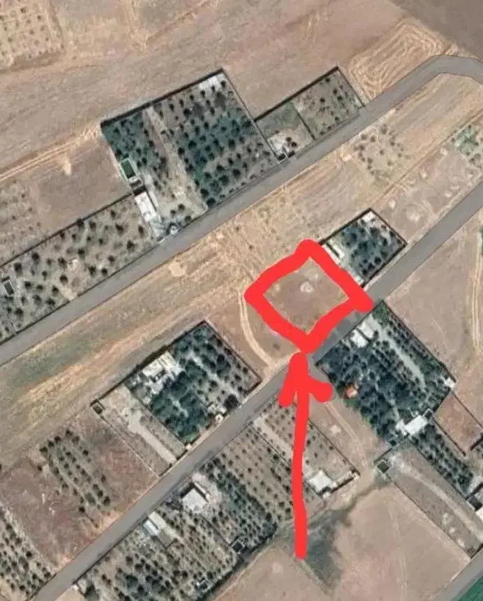 زمین مناسب باغ در یاسوج